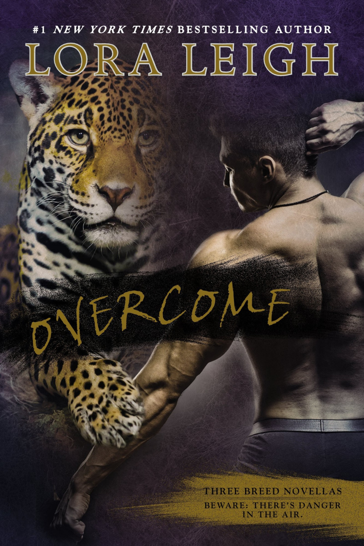 Overcome Lora Leigh