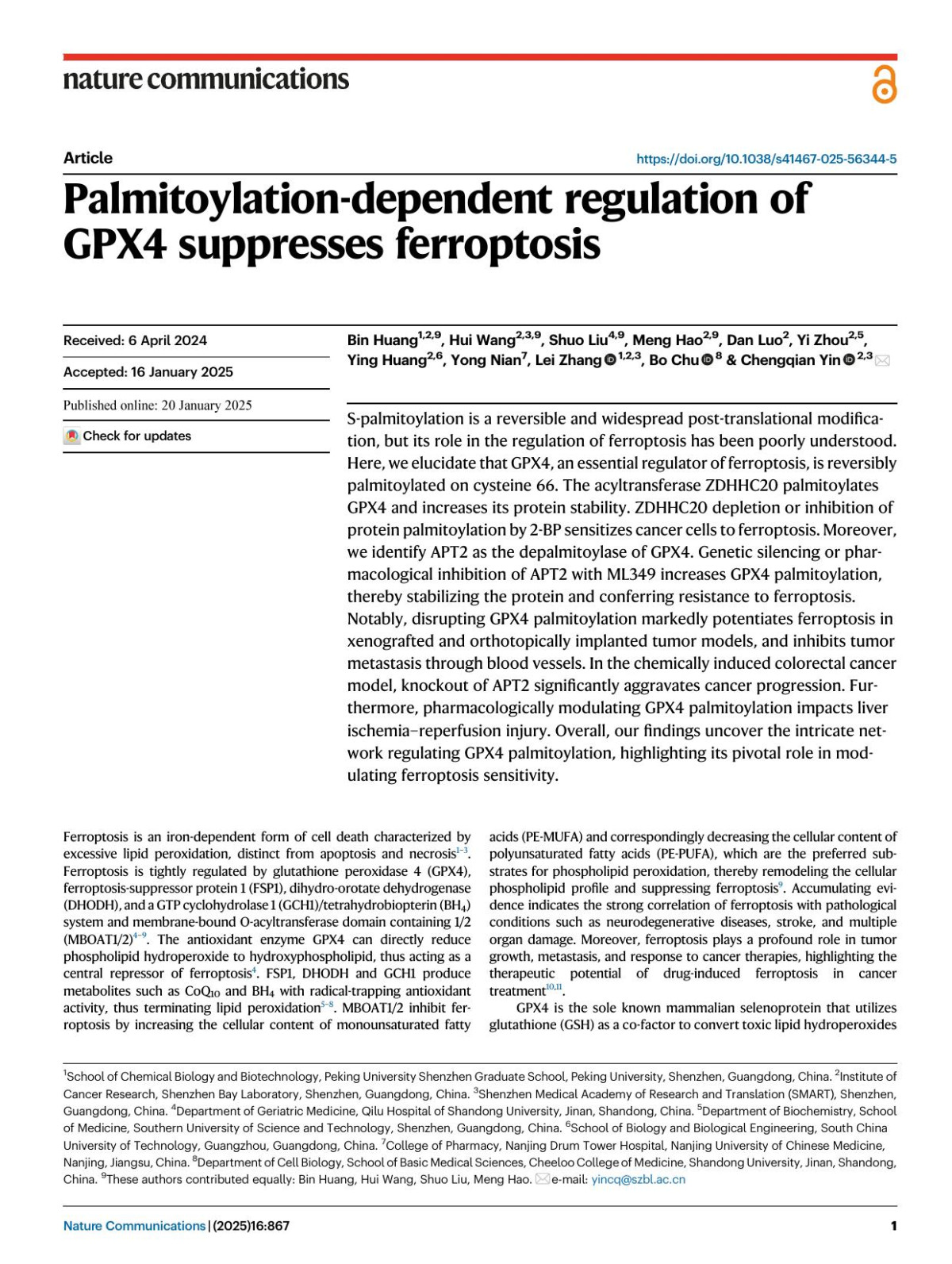 Palmitoylationdependent Regulation Of Gpx4 Suppresses Ferroptosis Bin Huang Hui Wang Shuo Liu Meng Hao Dan Luo Yi Zhou Ying Huang Yong Nian Lei Zhang Bo Chu Chengqian Yin