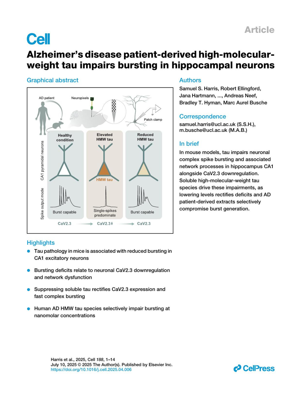 Alzheimers Disease Patientderived Highmolecularweight Tau Impairs Bursting In Hippocampal Neurons X