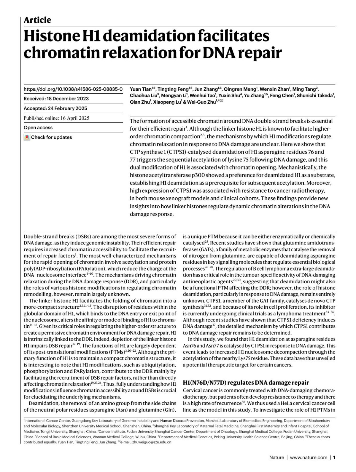 Histone H1 Deamidation Facilitates Chromatin Relaxation For Dna Repair Yuan Tian Tingting Feng Jun Zhang Qingren Meng Wenxin Zhan Ming Tang Chaohua Liu Mengyan Li Wenhui Tao Yuxin Shu Yu Zhang Feng Chen Shunichi Takeda Qian Zhu Xiaopeng Lu Weiguo Zhu