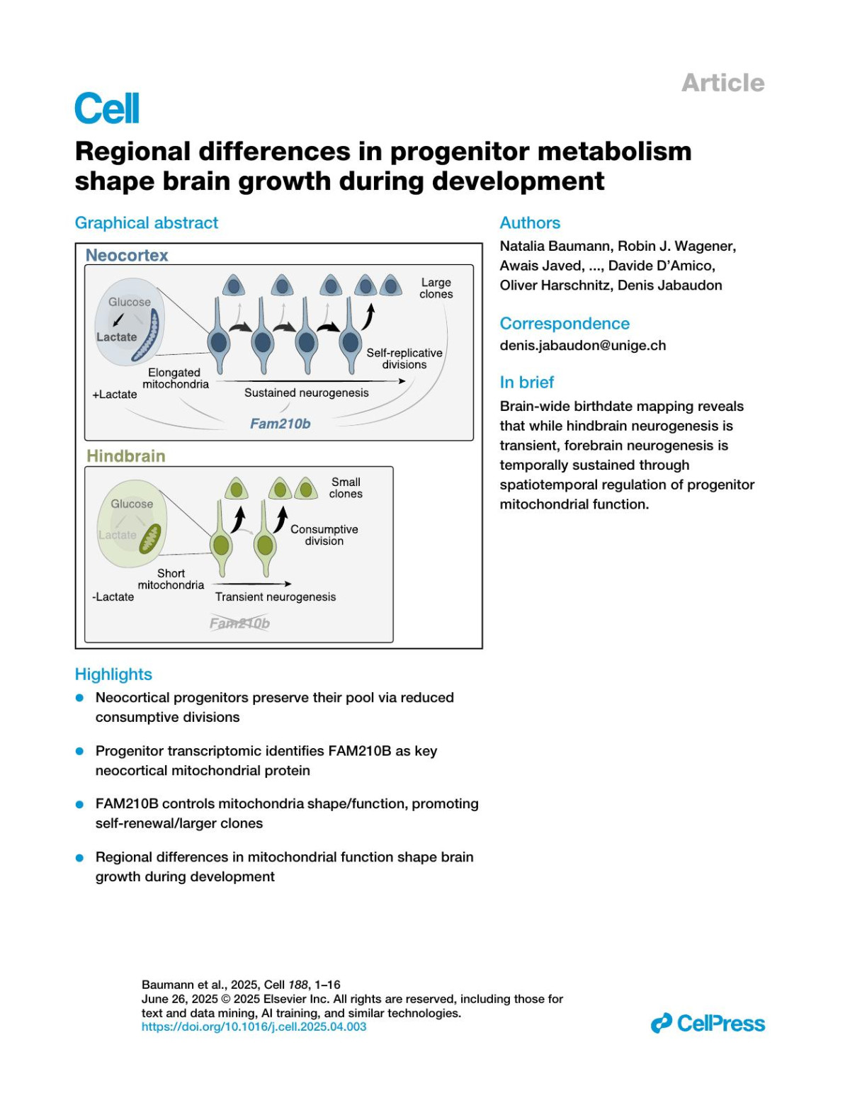 Regional Differences In Progenitor Metabolism Shape Brain Growth During Development Natalia Baumann