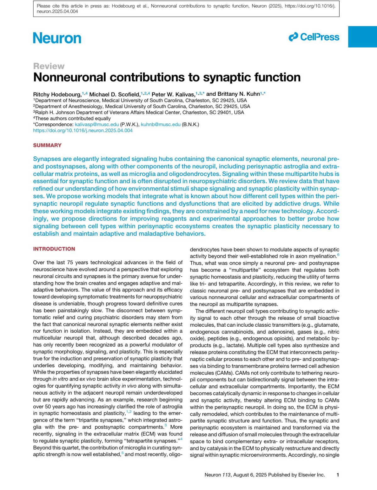 Nonneuronal Contributions To Synaptic Function Ritchy Hodebourg Michael D Scofield Peter W Kalivas Brittany N Kuhn