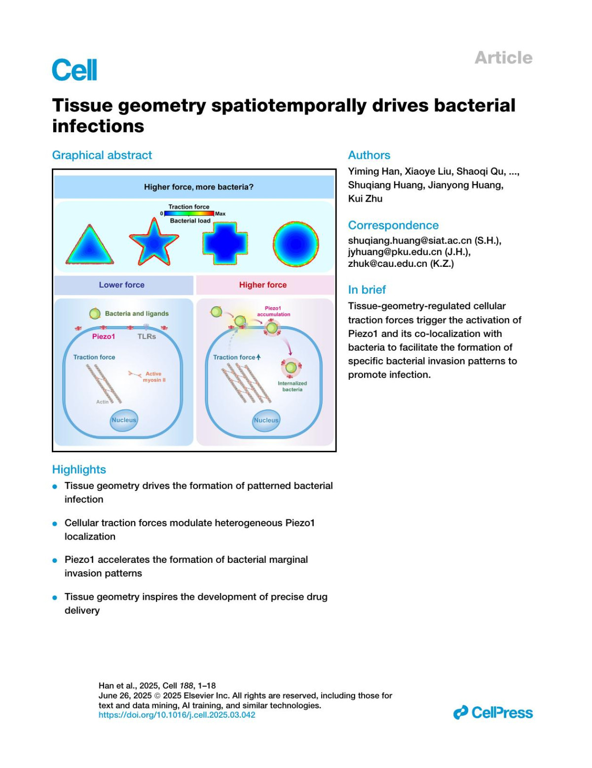 Tissue Geometry Spatiotemporally Drives Bacterial Infections Yiming Han Xiaoye Liu Shaoqi Qu Xiaocen Duan Yunqing Xiang Nan Jiang Shuyu Yang Xu Fang Liang Xu Hui Wen Yue Yu Shuqiang Huang Jianyong Huang Kui Zhu