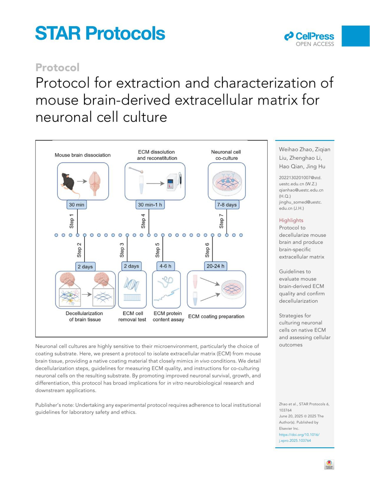 Protocol For Extraction And Characterization Of Mouse Brainderived Extracellular Matrix For Neuronal Cell Culture Weihao Zhao Ziqian Liu Zhenghao Li Hao Qian Jing Hu