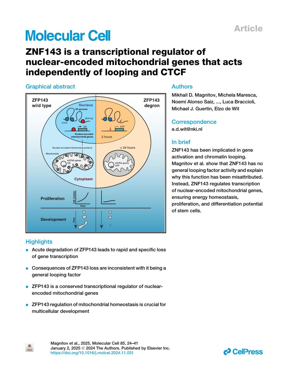 Znf143 Is A Transcriptional Regulator Of Nuclearencoded Mitochondrial Genes That Acts Independently Of Looping And Ctcf Mikhail D Magnitov Michela Maresca Noemí Alonso Saiz Hans Teunissen Jinhong Dong Kizhakke M Sathyan Luca Braccioli Michael J Guertin Elzo De Wit