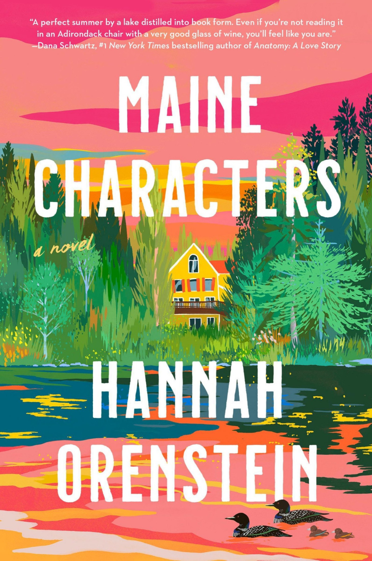 Maine Characters A Novel Hannah Orenstein