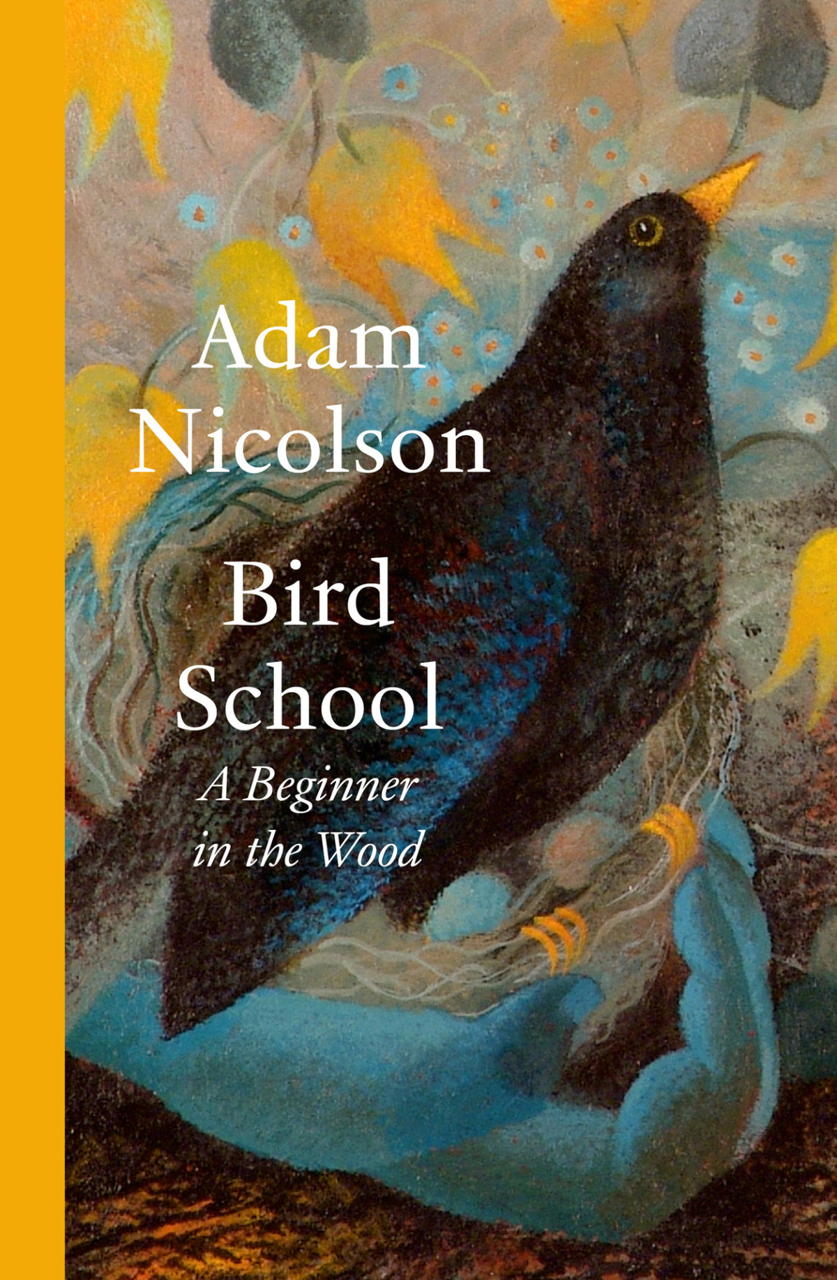 Bird School A Beginner In The Wood A Profound And Philosophical Exploration Of The Birds All Around Us By Bestselling And Prize Winning Author Of The Natural World Nicolson