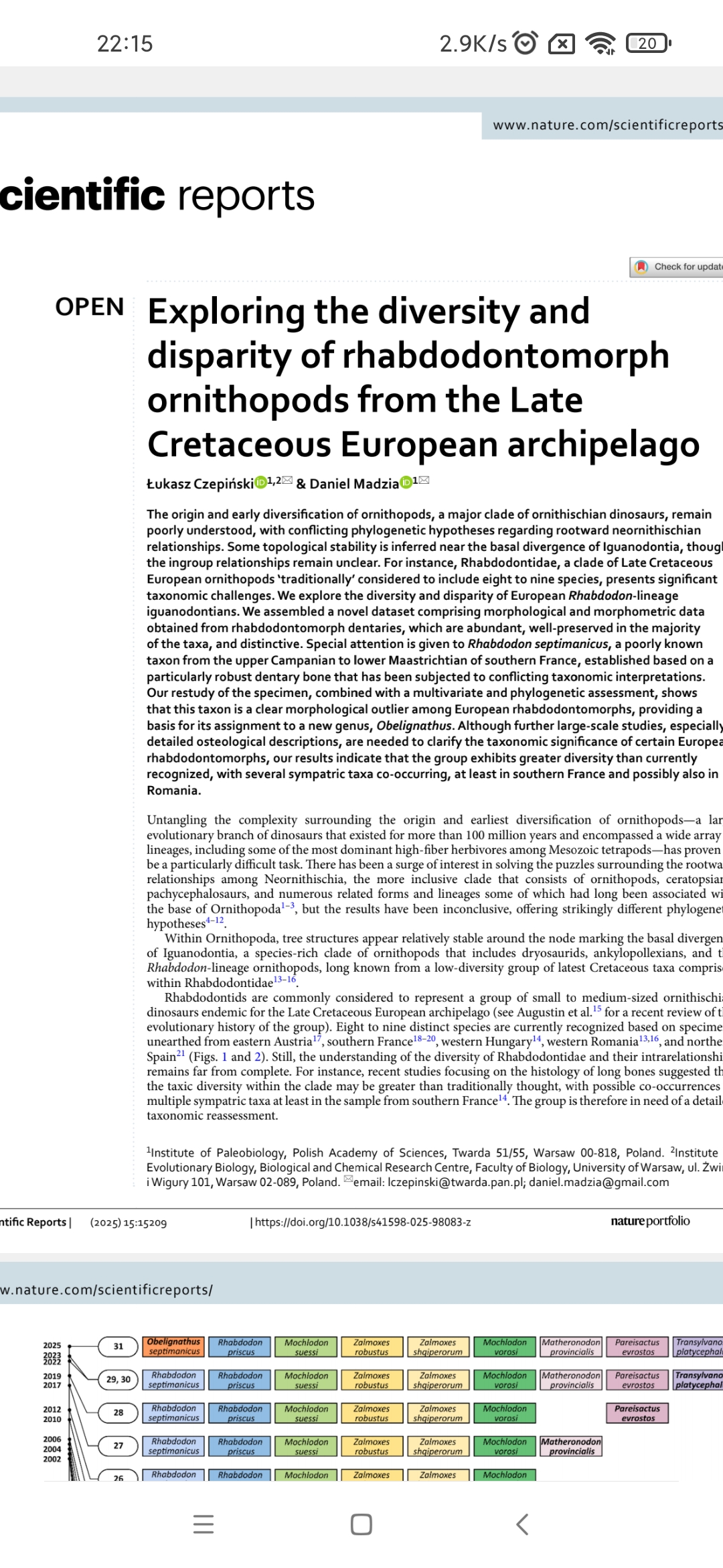 Exploring The Diversity And Disparity Of Rhabdodontomorph Ornithopods From The Late Cretaceous European Archipelago Natureportfilo Lukaszczepinskidanielmadzia