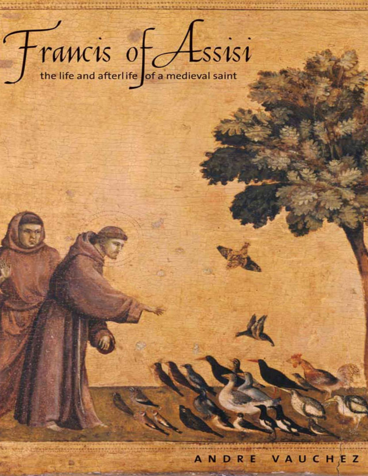 Francis Of Assisi The Life And Afterlife Of A Medieval Saint André Vauchez