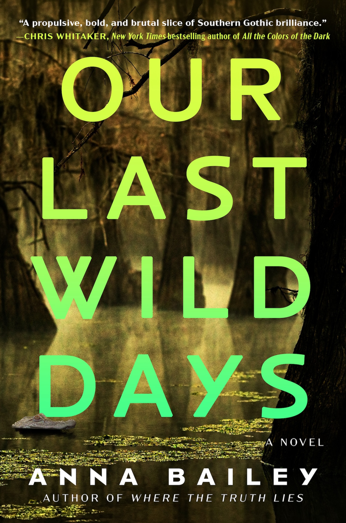 Our Last Wild Days A Novel Anna Bailey