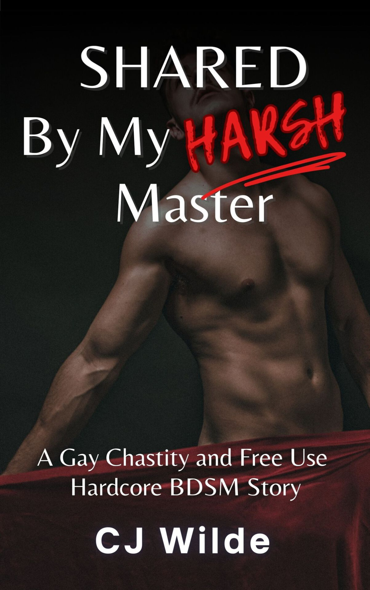 Shared By My Harsh Master A Gay Chastity And Free Use Hardcore Bdsm Erotic Story 30 Days Of Gay Submission Cj Wilde