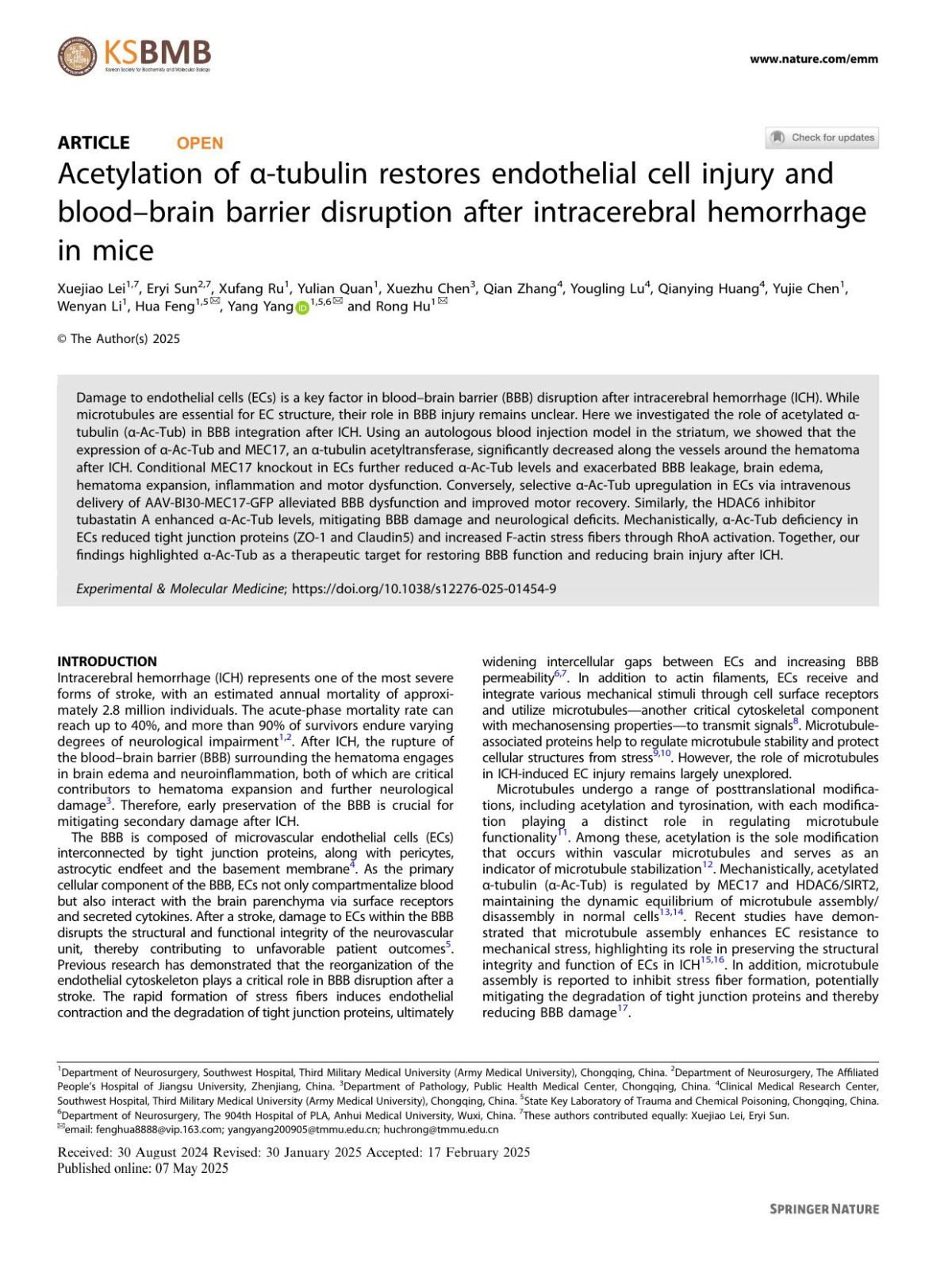 Acetylation Of αtubulin Restores Endothelial Cell Injury And Bloodbrain Barrier Disruption After Intracerebral Hemorrhage In Mice Xuejiao Lei Eryi Sun Xufang Ru Yulian Quan Xuezhu Chen Qian Zhang Yougling Lu Qianying Huang Yujie Chen Wenyan Li Hua Feng Yang Yang Rong Hu