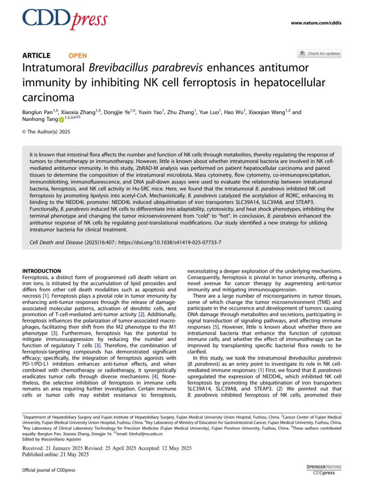 Intratumoral Brevibacillus Parabrevis Enhances Antitumor Immunity By Inhibiting Nk Cell Ferroptosis In Hepatocellular Carcinoma Banglun Pan Xiaoxia Zhang Dongjie Ye Yuxin Yao Zhu Zhang Yue Luo Hao Wu Xiaoqian Wang Nanhong Tang