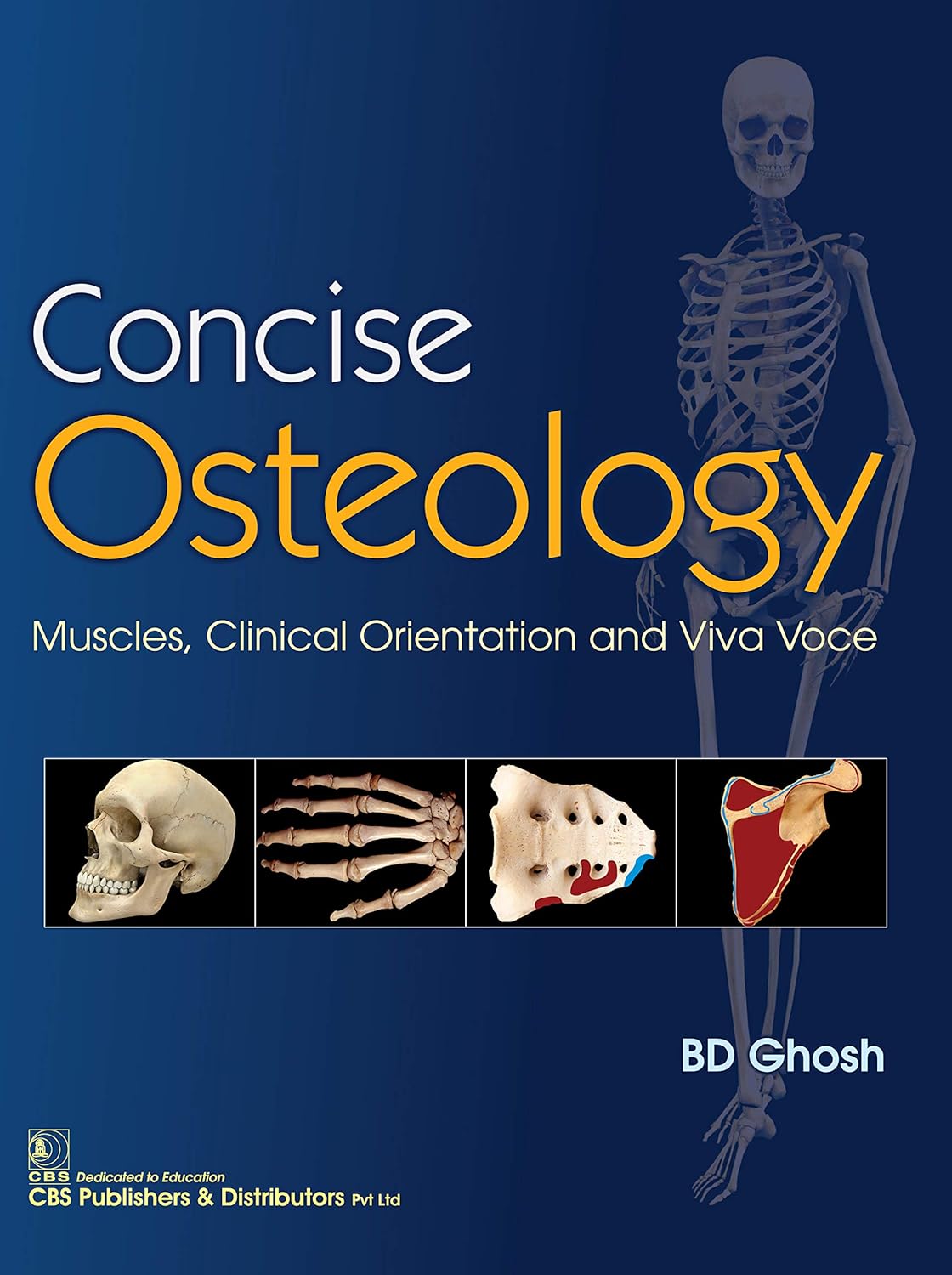 Concise Osteology Muscles Clinical Orientation And Viva Voce First Edition Bd Ghosh