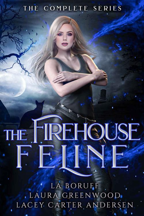 The Firehouse Feline La Boruff Laura Greenwood Lacey Carter Andersen
