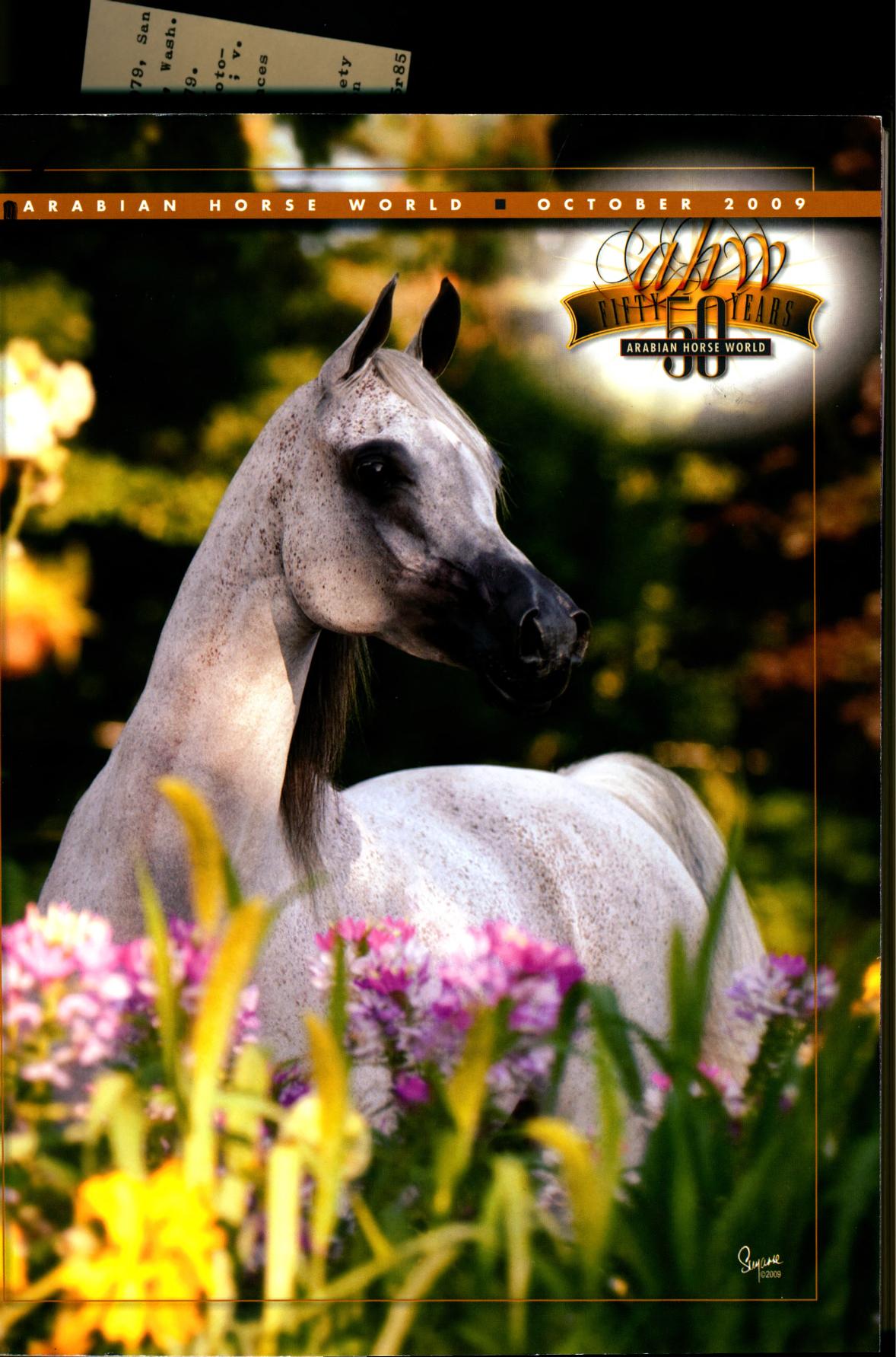 Arabian Horse World October 2009 October Unknown