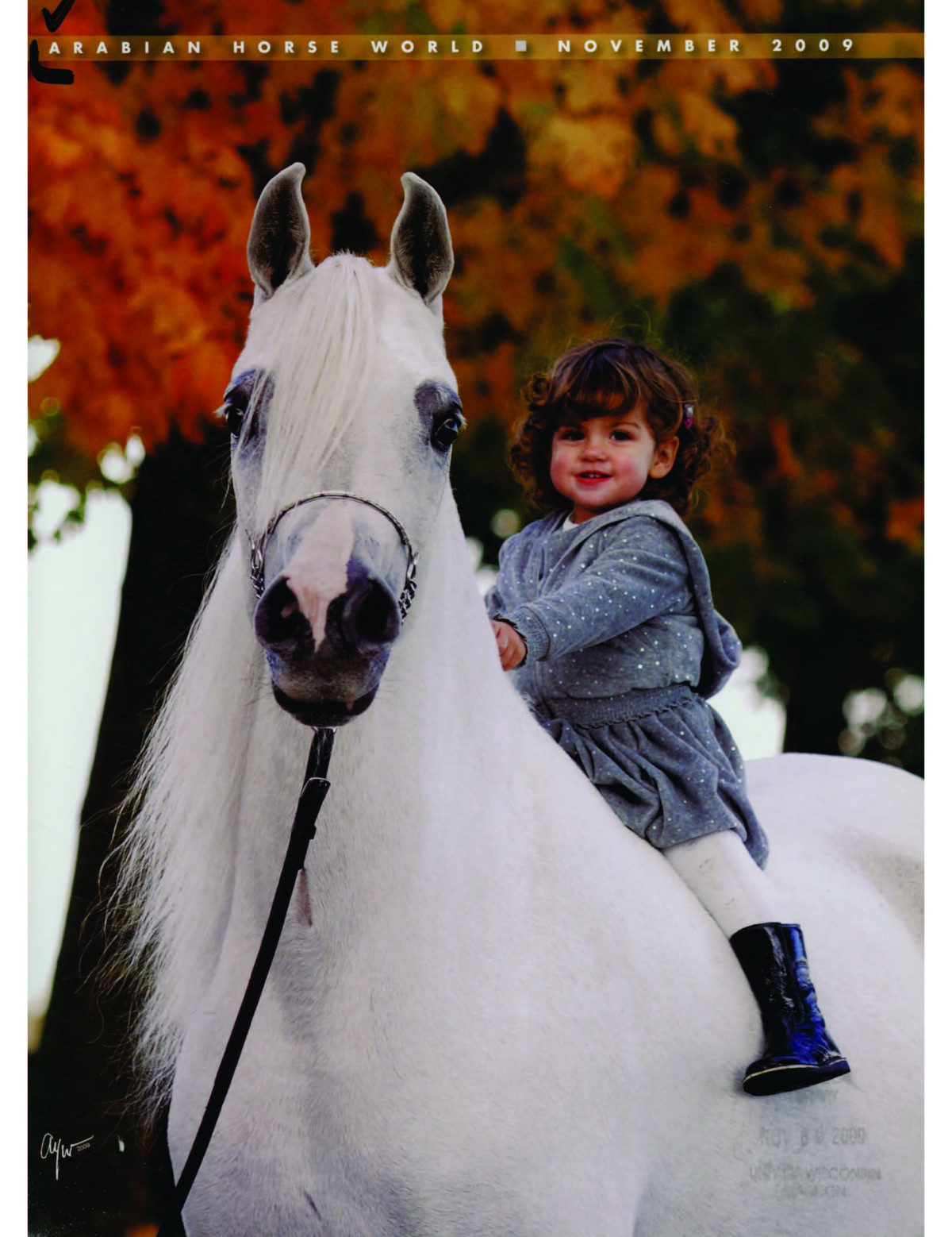 Arabian Horse World November 2009 2009th Edition Unknown