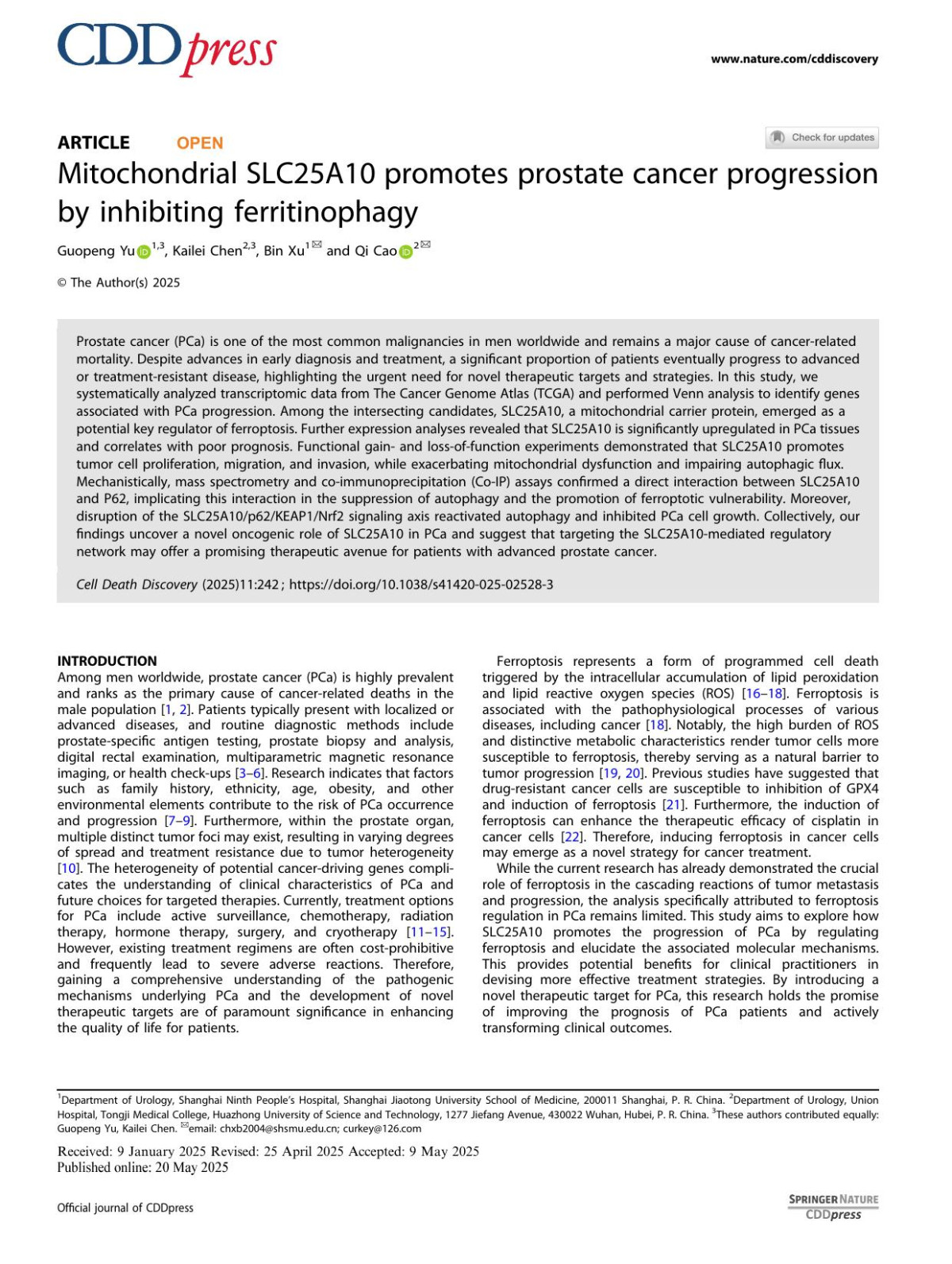 Mitochondrial Slc25a10 Promotes Prostate Cancer Progression By Inhibiting Ferritinophagy Guopeng Yu Kailei Chen Bin Xu Qi Cao