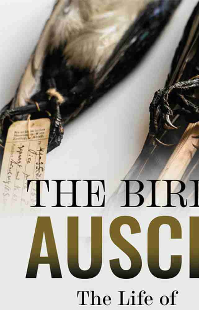 The Birdman Of Auschwitz Nicholas Milton