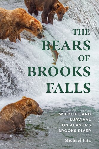 The Bears Of Brooks Falls Michael Fitz