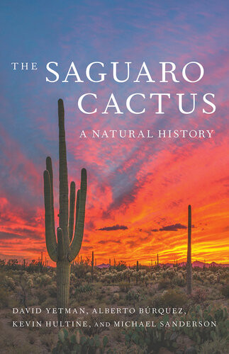 The Saguaro Cactus A Natural History David Yetman Alberto Brquez Kevin Hultine Michael Sanderson