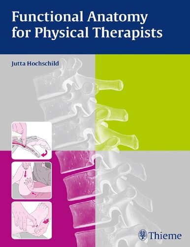 Functional Anatomy For Physical Therapists Jutta Hochschild