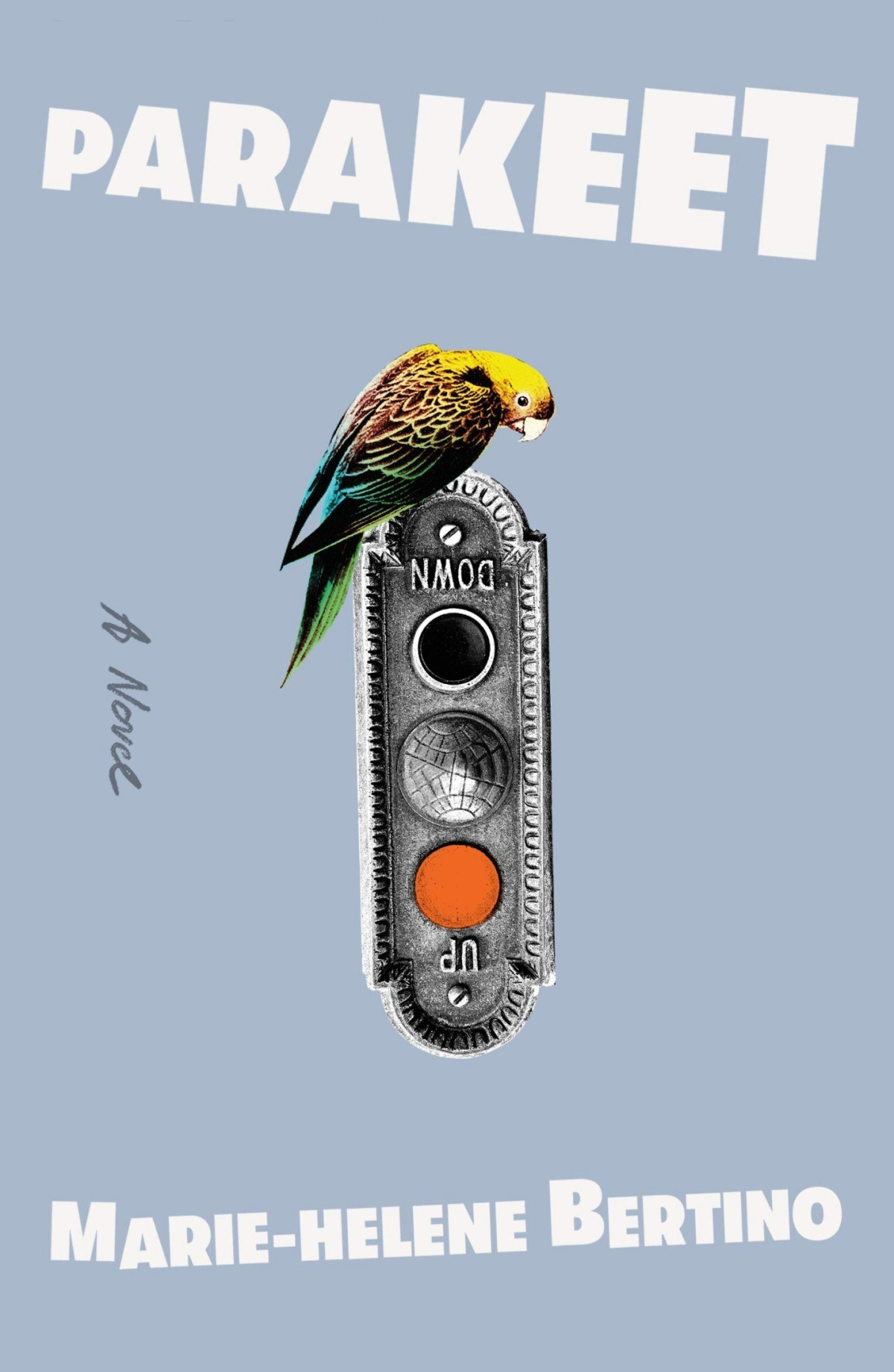 Parakeet A Novel Mariehelene Bertino
