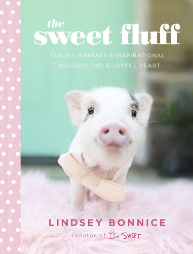 The Sweet Fluff Cuddly Animals And Inspirational Thoughts For A Joyful Heart Lindsey Bonnice