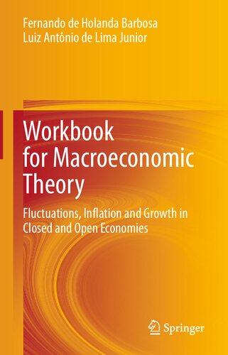 Workbook For Macroeconomic Theory Fluctuations Inflation And Growth In Closed And Open Economies 1st Ed 2021 Fernando De Holanda Barbosa