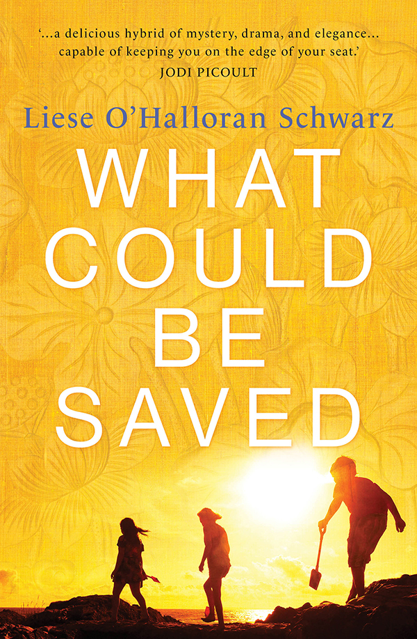 What Could Be Saved Liese Ohalloran Schwarz Liese Ohalloran Schwarz