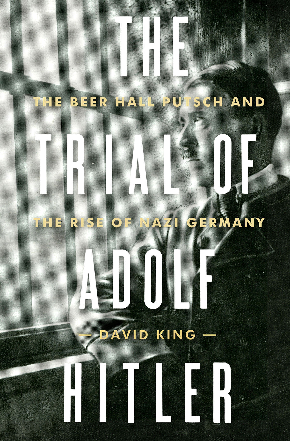The Trial Of Adolf Hitler David King
