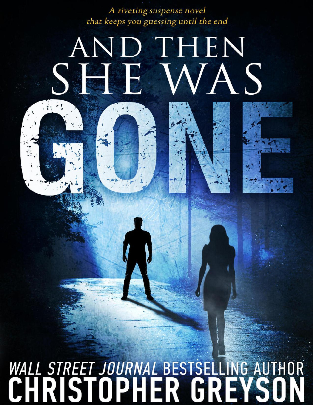 And Then She Was Gone Christopher Greyson