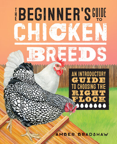 The Beginners Guide To Chicken Breeds An Introductory Guide To Choosing The Right Flock Bradshaw