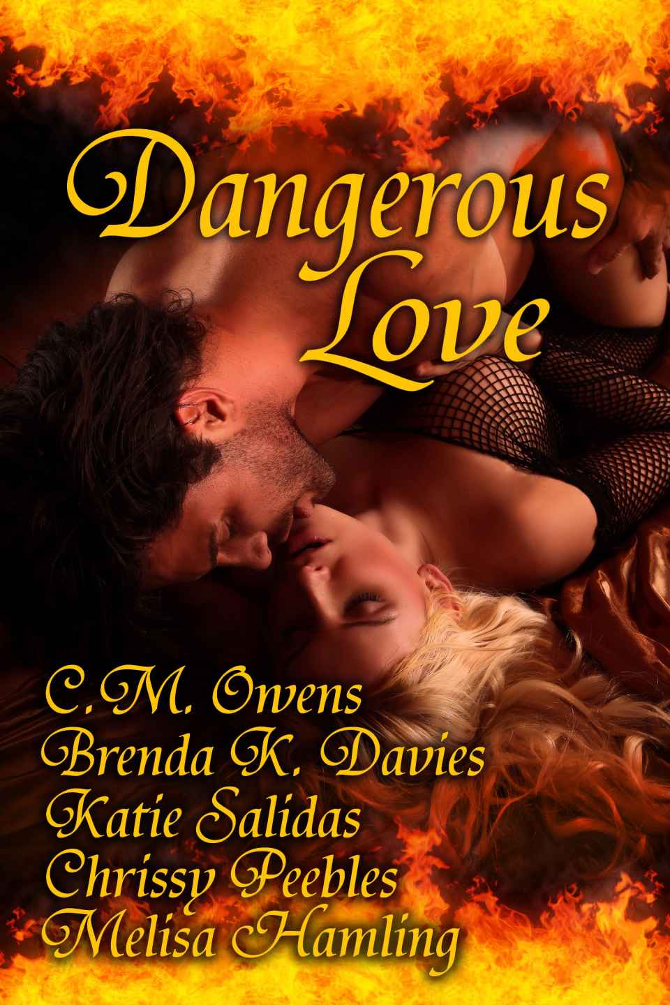 Dangerous Love A Paranormal Romance Anthology C M Owens Brenda K Davies Melisa Hamling Katie Salidas Chrissy Peebles Owens