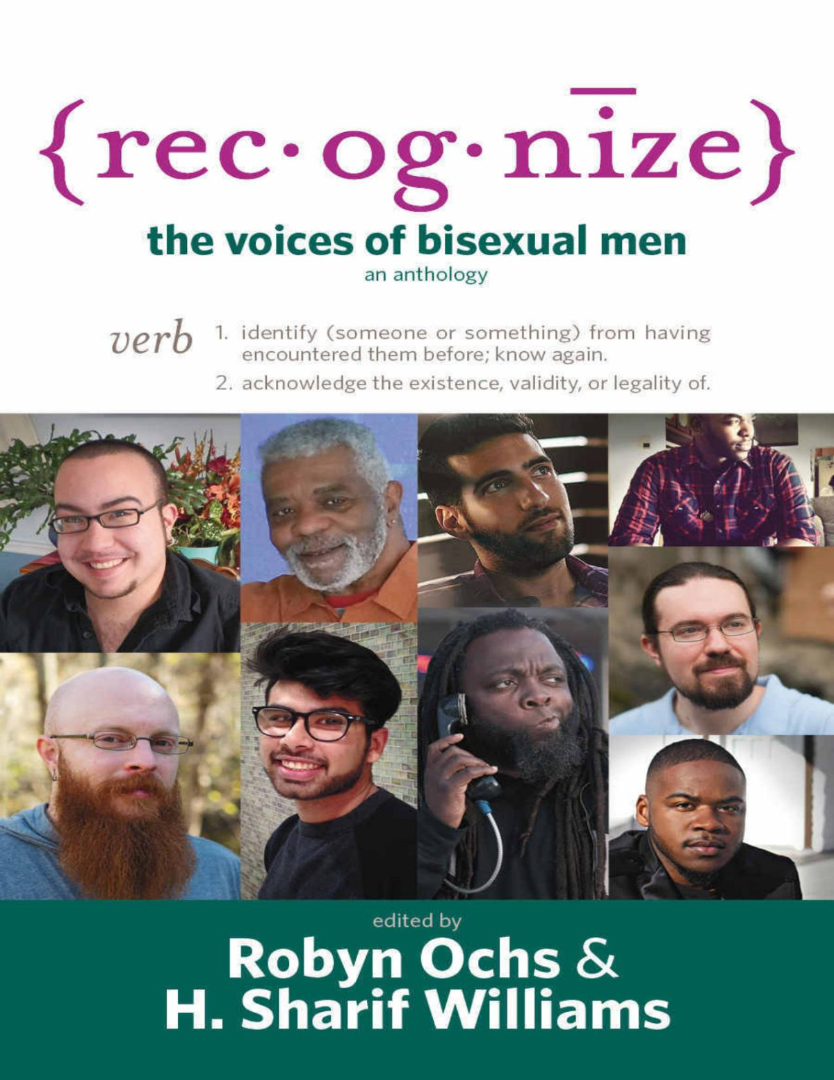 Recognize The Voices Of Bisexual Men 1st Edition Ochs Robyned Williams H Sharif Ed