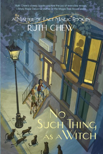 A Matteroffact Magic Book Ruth Chew