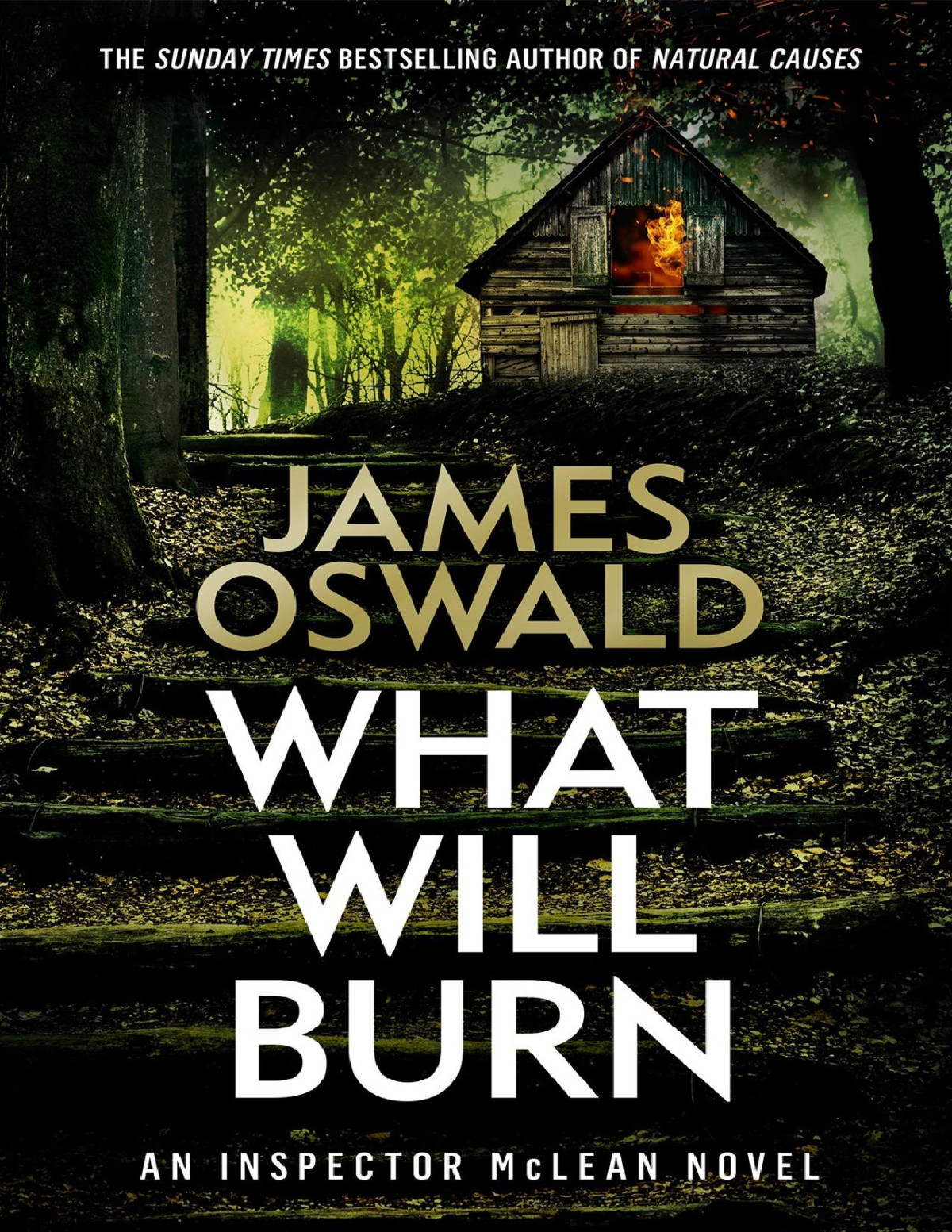 What Will Burn Inspector Mclean Series Book 11 James Oswald