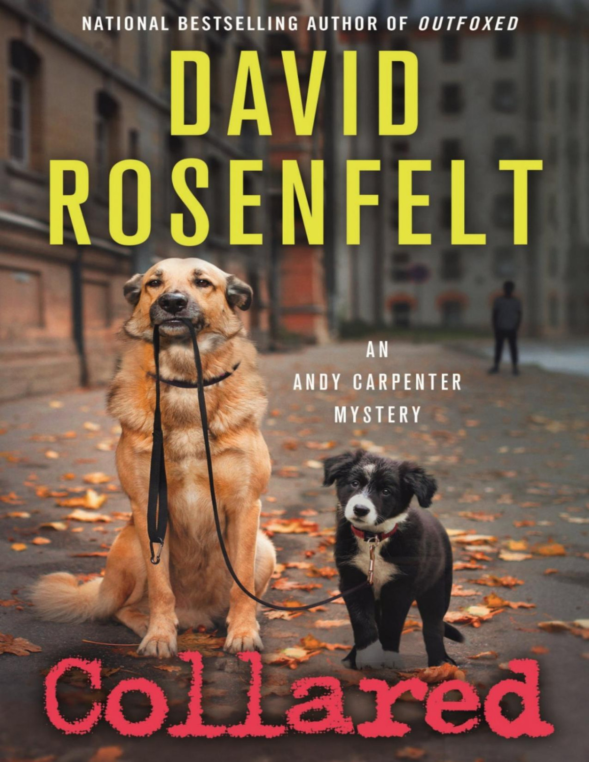 Collared David Rosenfelt Rosenfelt David