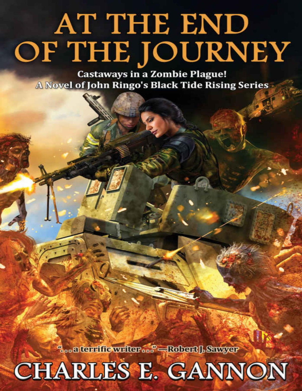 At The End Of The Journey Black Tide Rising Book 8 Charles E Gannon Gannon