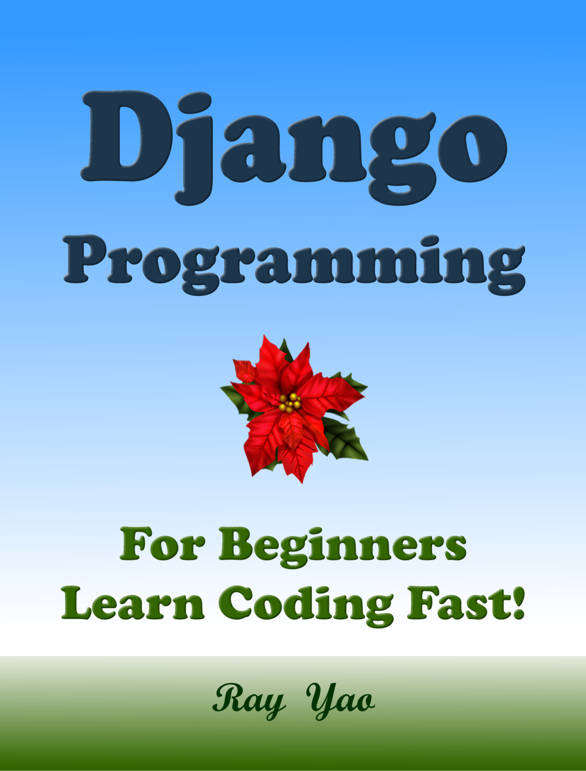 Django Programming For Beginnres Learn Coding Fast Raspberry D Docker Ray Yao Docker