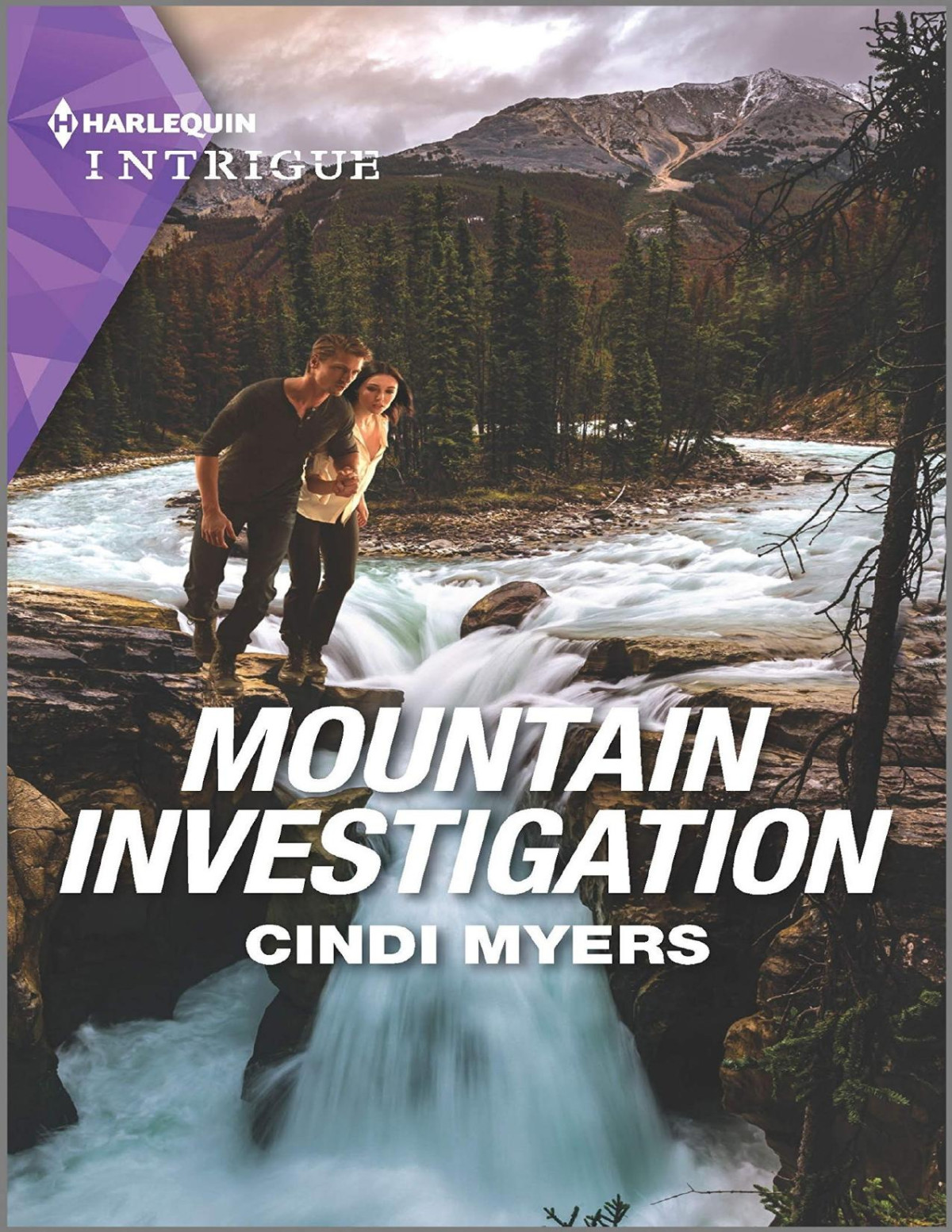 Mountain Investigation Cindi Myers Myers Cindi