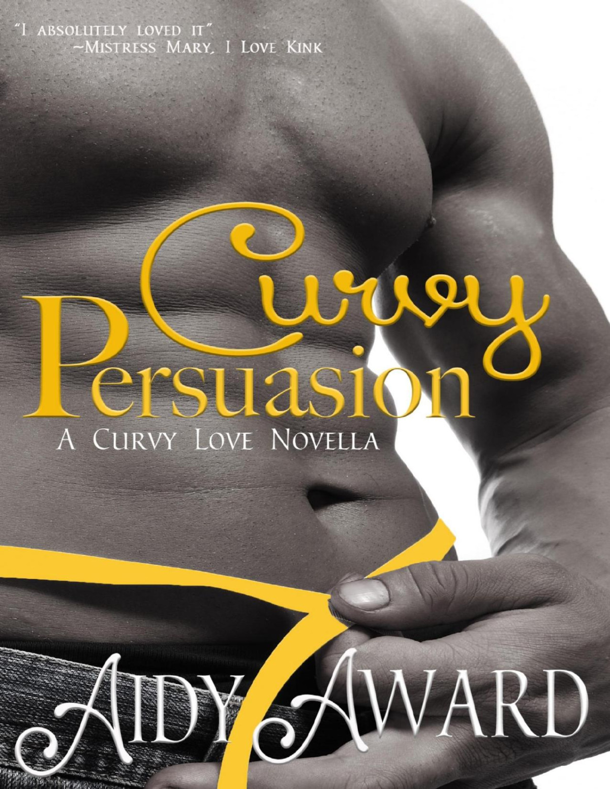 Curvy Persuasion A Curvy Love Novella Aidy Award Award Aidy