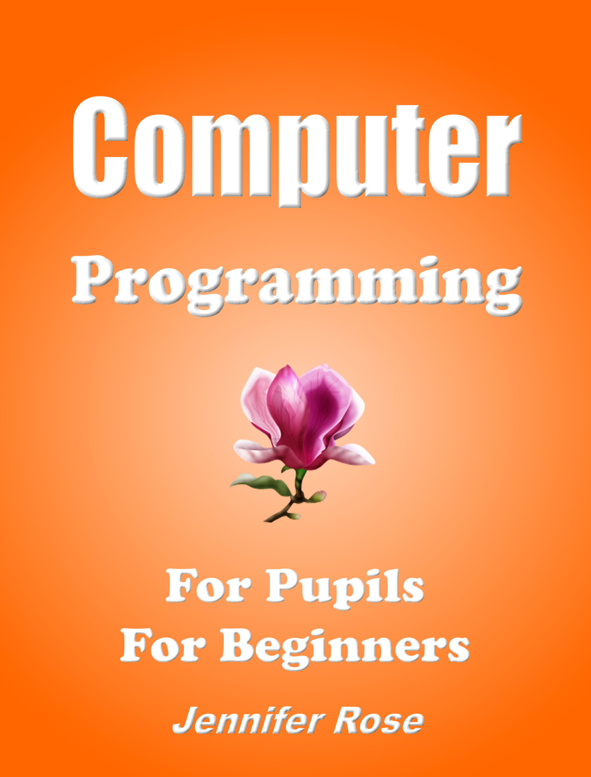 Computer Programming For Pupils For Beginners Rose Jennifer Rose
