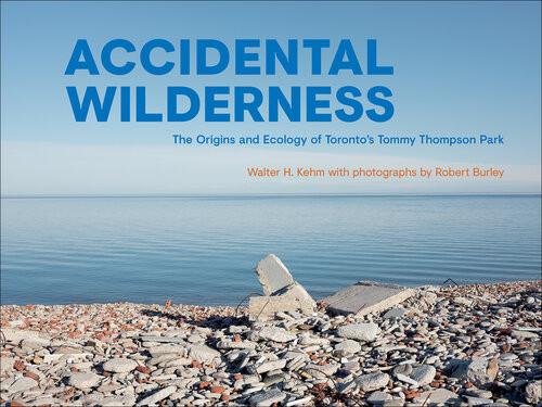 Accidental Wilderness Walter H Kehm