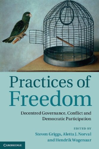 Practices Of Freedom Decentred Governance Conflict And Democratic Participation Steven Griggs Editor