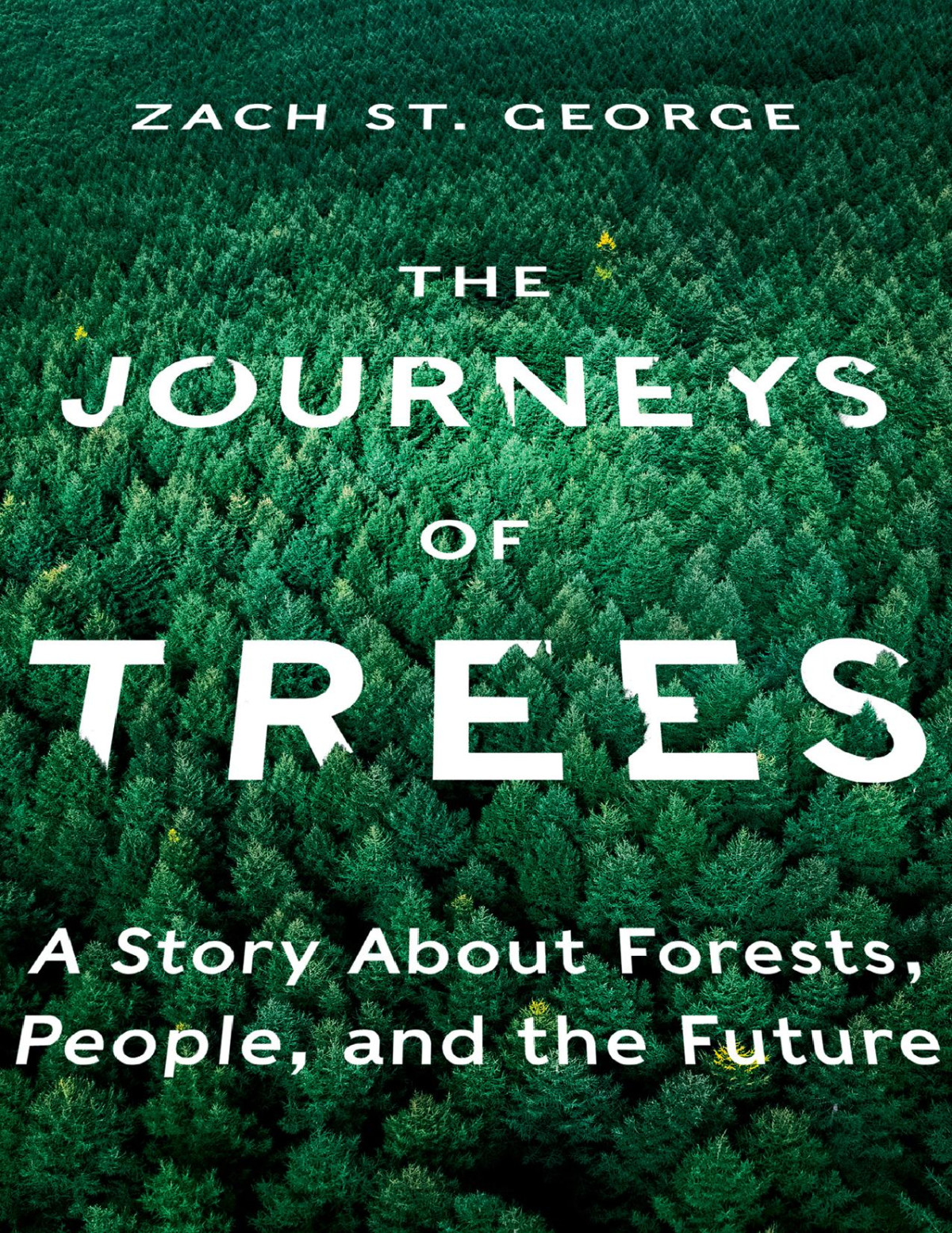 The Journeys Of Trees Zach St George
