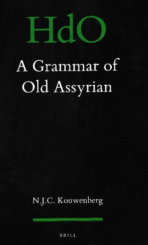 A Grammar Of Old Assyrian N J C Kouwenberg
