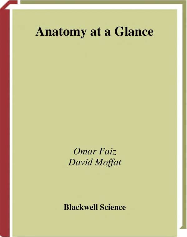 Anatomy At A Glance Chenjin5com