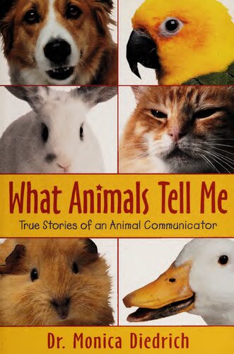 What Animals Tell Me True Stories Of An Animal Communicator 1st Edition Diedrich