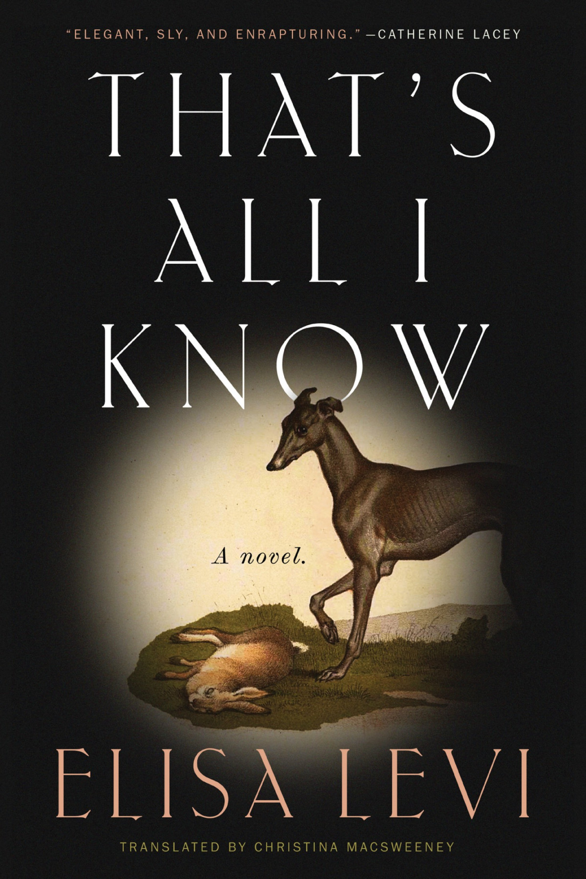 Thats All I Know Elisa Levi